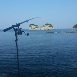 春なのに…………。