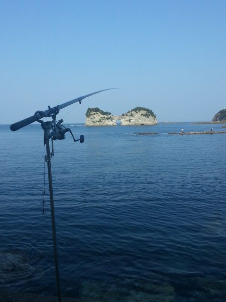 春なのに…………。