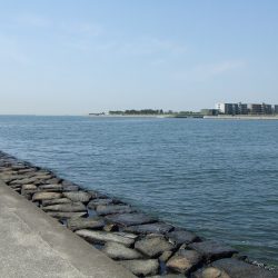 西宮浜で楽しいシーバスフィッシング