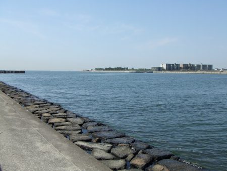 西宮浜で楽しいシーバスフィッシング