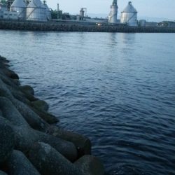 ランガンプラッキング!!