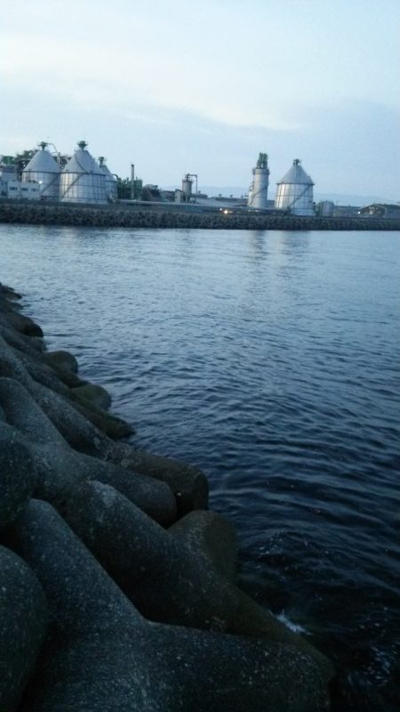 ランガンプラッキング!!