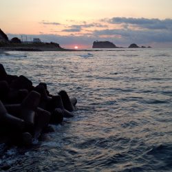 串本でエギング＆ちょい投げを満喫