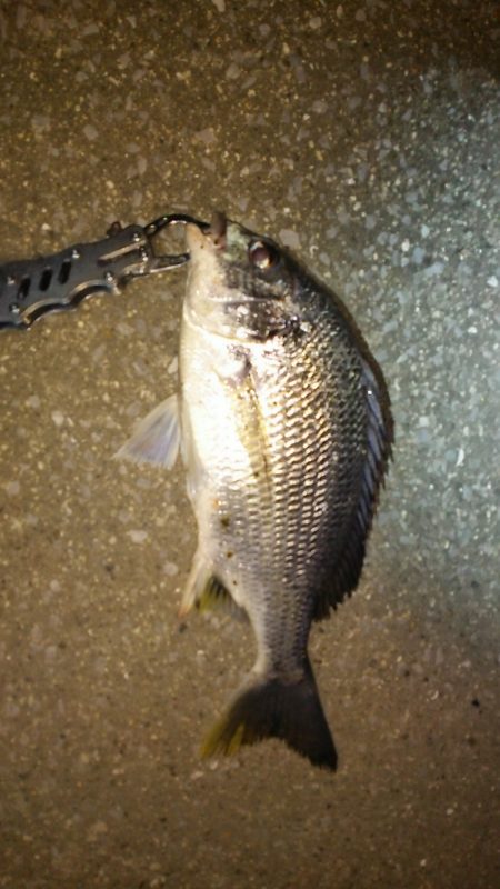 少しずつ上向いてる感じです。