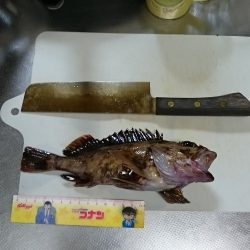 助松埠頭　ガシラ祭り