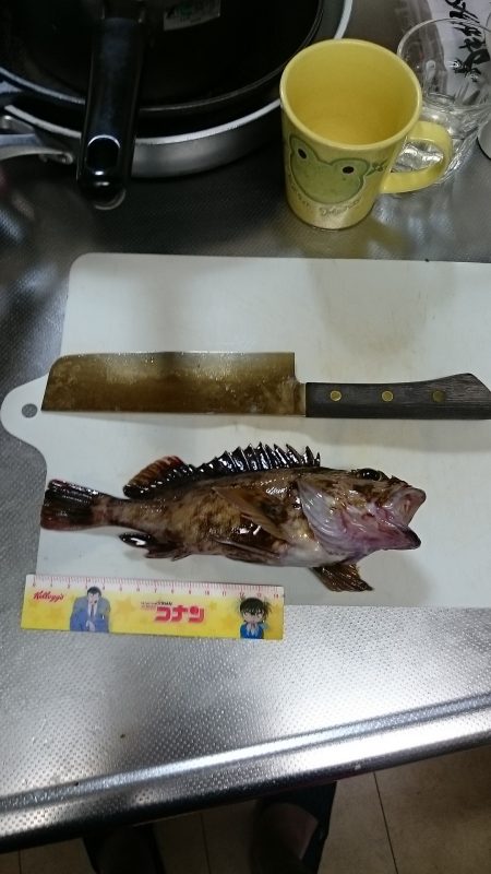 助松埠頭　ガシラ祭り