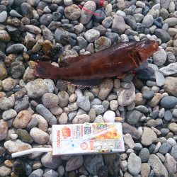 やっぱり難しい・・・