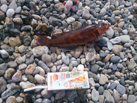 やっぱり難しい・・・