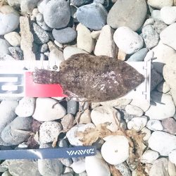 リベンジかなぁ！？