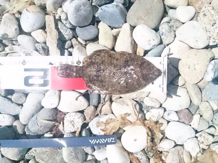 リベンジかなぁ！？