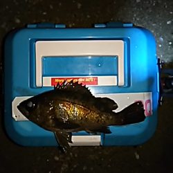 思いの外むずかしい。