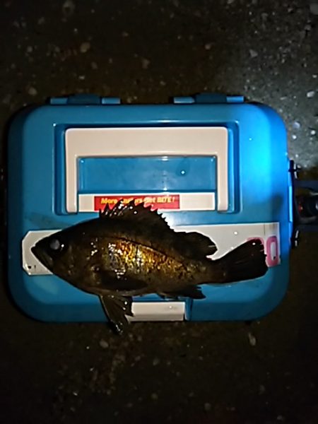 思いの外むずかしい。