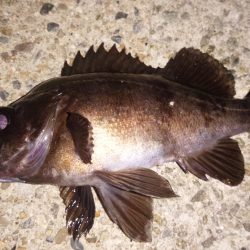 神明間でフロート修行