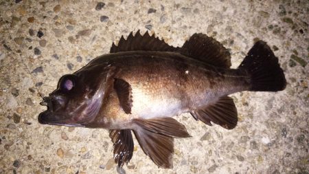 神明間でフロート修行