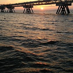 ちょっとだけエビ撒き釣り2015*4*11