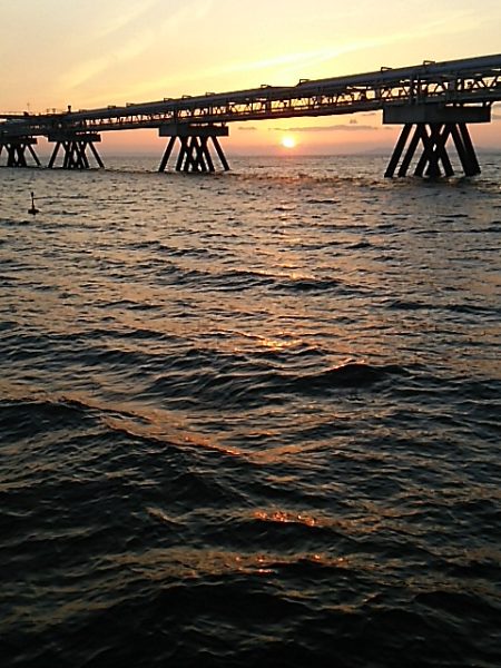 ちょっとだけエビ撒き釣り2015*4*11