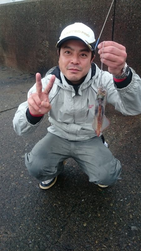 雨の中のアオリイカ