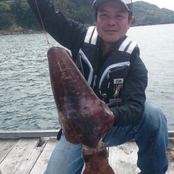 2㌔オーバーのアオリイカ❗