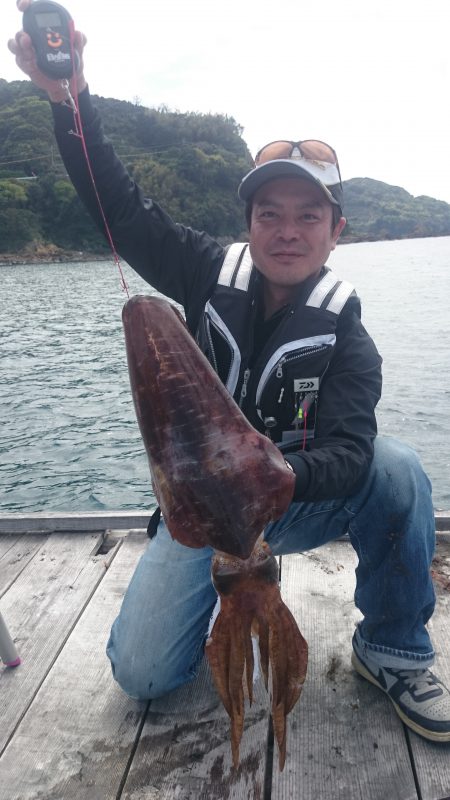 2㌔オーバーのアオリイカ❗