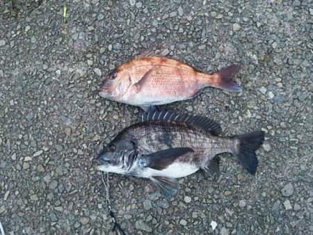 最後の一投で釣れました