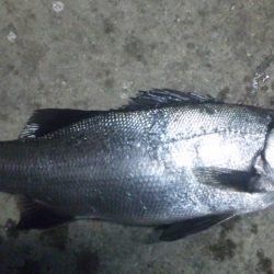 濁りがでたので！！