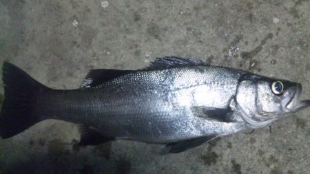 濁りがでたので！！