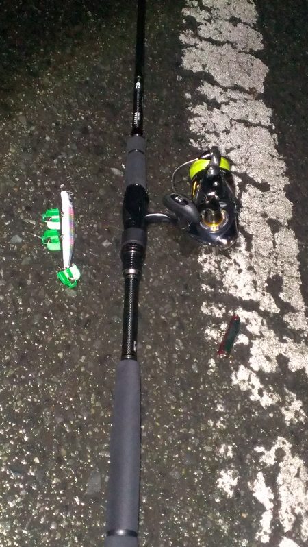 雨上がりの１匹