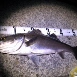 そろそろシーズン♪♪