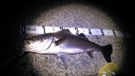 そろそろシーズン♪♪