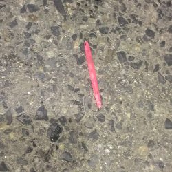 渋い中での１匹！！