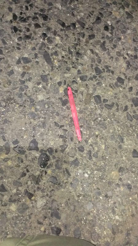 渋い中での１匹！！