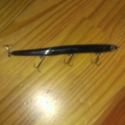 嬉しい外道(チヌ)