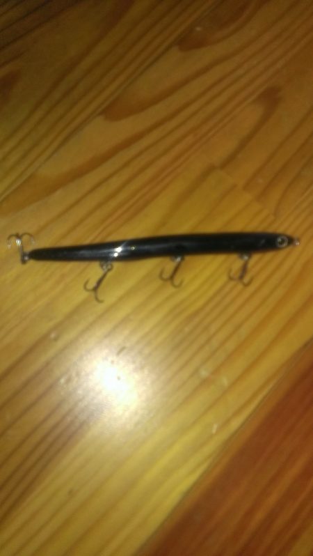 嬉しい外道(チヌ)