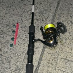 短いジアイ……