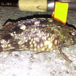 仇は討てぬままに夜は明けて