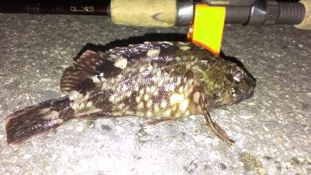 仇は討てぬままに夜は明けて