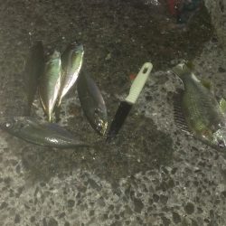 水温も暖かいね。