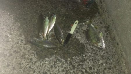 水温も暖かいね。