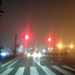 ちょいと洲本へ釣行