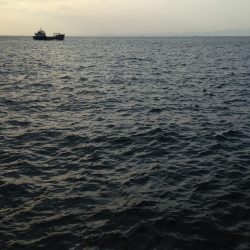 なかなか渋いわ