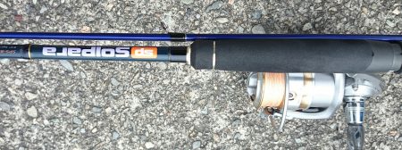 田ノ浦 エギング