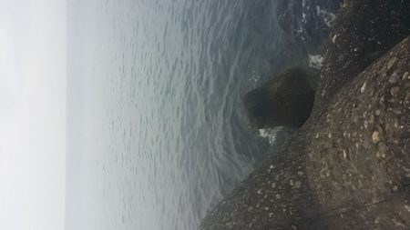 のほほんはあきません。南港でエビ撒き釣り