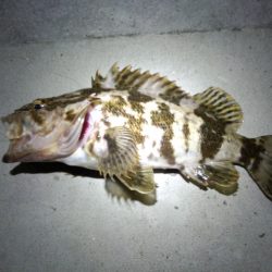 イイ感じの1日でした♪