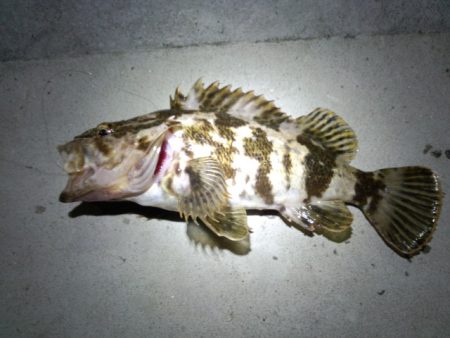 イイ感じの1日でした♪