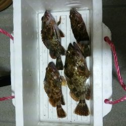 今年2回目のナイトゲーム