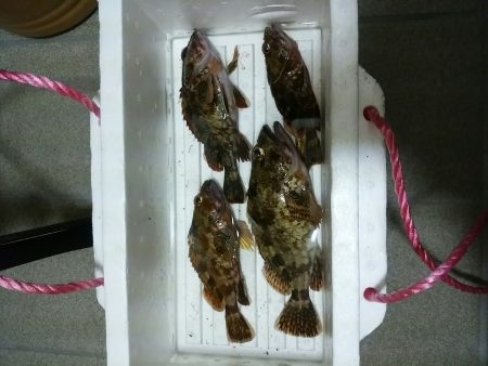 今年2回目のナイトゲーム