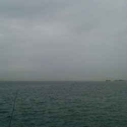 ショアジギング