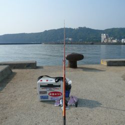 洲本港で良型キス狙い