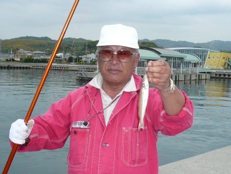 津名港でキス狙い