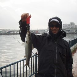 エビ撒き釣りでハネＧＥＴ！！